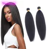 Peruaanse maagdelijke menselijke haarextensions bundels haar weven onbewerkte 2 bundels kinky rechte afro yaki