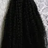 Cabello humano malayo a granel AFRO Kinky Cabello rizado para el color natural Transpare de 8 a 30 pulgadas Crochet trenzas Ninguna trama Bulk Hair 200G 2pcs