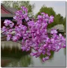 人工桜の結婚式の飾りシルク・サクラ長さ1メートルのブーケ3枝3枝Siglelayer Petals最低価格7274960