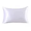 2PCS 22 Momme Silk Pillowcase 100% Nature Mulberry Silk Pillow Cover z ukrytym zamkiem błyskawicznym Soft Healthy Satin Pillcase263b