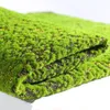 1 * 1m fundo Artificial Lawn Moss Mat Plant Simulation parede Moss Turf Turf Artificial indoor decoração de janelas Props