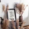 10 Pcs Pampas Grass Decor Phragmites &Reed Flowers Home Christmas Decoration Dried Flower Bouquet Natural Plants