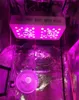 2019 1000W COB LED Wachsen Licht 100-265V Volles Spektrum Doppelschalter Dimmbare Wachstumslampe für Innenzelt Zeltpflanzen Blume