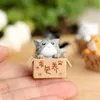 1 stuk cartoon schattige kat in de doos zielige kitty kitten fee tuin mos micro landschap ornamenten hars ambachten decoraties