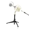 BM 8000 Professional Condenser Microphone BM8000 O Studio Vocal Recording for Computer Karaoke8854979