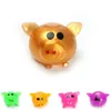 Décompression Pig Anti Stress Splat Ball Vent Jouets Venting Ball Sticky Smash Water Ball Squeeze Toy Party Favor LJJO7344