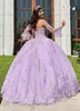 Charmante Applique Lilas Quinceanera Robes Boule En Dentelle Plus La Taille Chérie 16 Fille Robe De Soirée De Bal Juniors Robes Formelles Sur Mesure