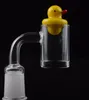 DHL Latest 5mm Bottom Flat Top 10mm 14mm 18mm male female quartz banger nail With Cactus Duck Carb Cap for mini glass rigs