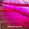 LED Rosną Light Full Spectrum Podwójny przełącznik ściemnialny 1000W COB i podwójne żetony do namiotu wewnętrznego Hydroponika hydroponika