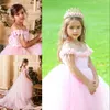 Принцесса Розовый Длинные платья девушки цветка с платьем цветка пера Sheer шеи бисером пояса Puffy платья Маленькие девочки день рождения партии с поездом