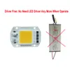 50W COB LED Chip Bulb pärla för DIY Flood Light AC110V