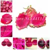 pitaya fruit