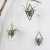 Luftväxthållare hängande Tillandsia Air Plants Rack Metal Geometric Iron Art Flower Planter Pot Gardening Accessories Home Office 4677072