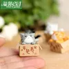 1 pezzo Cartoon Cute Cat In The Box Pietoso Gattino Gattino Fata Giardino Muschio Micro Paesaggio Ornamenti Resina Artigianato Decorazioni