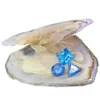 2019 Três zircões cúbicos soltos de diferentes formas Aqua azul 8mm * 8mm são exibidos em ostras embaladas a vácuo