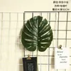 INS turtleback leaf spring rain money leaf simulation flower home decoration wedding plant wall fake flower manufacturers