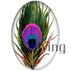 Zdying Whole 1825mm Oval Shape Glass Cabochon Peacock Feather Dome Beads DIY Jewelry Making Findings 10pcslot4142730