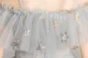 Princess Silver Stars Tulle Paski Kwiat Girl Dresses Girls 'Pagews Sukienki Wakacje / Urodziny Dress / Spódnica Custom Size 2-14 DF710326
