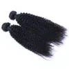 Cheveux humains brésiliens crépus bouclés 2 paquets pour les femmes noires couleur naturelle 9A Remy Extensions de cheveux