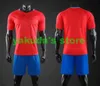 Discount Customized football apparel custom jersey Sets With Shorts clothing Uniforms kits Sports Men's Mesh Performance ports jerseys near