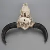 Resina Longhorn Vaca Cabeça Cabeça Pendurar Decoração 3D Animal Animal Vida Selvagem Escultura Estatuetas Crafts Chifres Para Decoração Home T200331