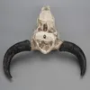 Żywica Longhorn Cow Skull Head Wall Wiszące Dekoracji 3D Zwierząt Wildlife Rzeźba Figurki Rzemiosła Rogi do Home Decor T200331