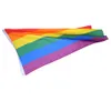 Gökkuşağı bayrağı 3x5ft 90x150cm lezbiyen gay gurur polyester LGBT Banner Polyester Renkli