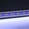 LED الأزرق والأبيض LED LED LED LED LED Aquarium Light Fish Fish Lamp