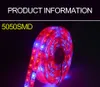 LED Phyto Lamp Grow Strip Light 5M 12V 5050SMD Red Blue Waterproof Full Spectrum 300Leds Ribbon String LED Plant Light FitoLampy8479504