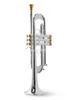 vacker trumpet