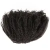 VMAE البرازيلي الطبيعي الأسود 12 إلى 26 بوصة 4B Afro kinky Curly 120G بشرة الحصان ذات الشعر البكر