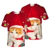 Mode 3D t-shirts imprimer animaux chats hommes femmes t-shirt Anime à manches courtes t-shirts col rond hauts dessin animé t-shirt 231 cadeau de noël