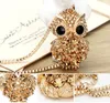 2019 Hot Fashion Womens Kettingen Sieraden Trendy Charms Crystal Owl Sweater Ketting Rhinestone Lange Ketting Dier NecklacePendants Sale