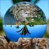 2019 HOT Limpar Bola de vidro Crystal Healing Esfera Fotografia Props Lensball Decoração Props presente da foto para a fotografia ao ar livre