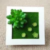 Fiori decorativi Ghirlande Artificiali Succulente Fai da te Pianta finta senza vaso Piante in vaso Decor Fioriere per piante grasse domestiche1