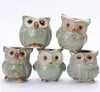 Cartoon Owl-Shaped Flower Pots Succulents Plants Flowerpot Ceramic Mini Home Accessories Garden Office Owl Flowerpot Decoration BH2356 ZX