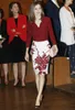 Letizia Ortiz Rocasolano princesse demi-chemise à manches 2 pièces femmes ensemble imprimé Mini jupe OL ensembles de bureau