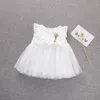 Heta försäljning baby flickor barn tutu söt klänning baby flickor kläder rosa vita 2 färger sommar vår prinsessan klänning barn kläder
