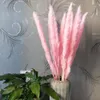 Decorazione per mazzo di fiori da matrimonio per la casa, canna di erba di pampa essiccata naturale