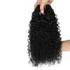 Brasiliansk Kinky Curly Virgin Hair 3 Bundles Peruvian Indian Human Hair Weaves 9a Brasilianska lockiga hårbuntar