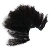 4B 4C Afro Kinky Curly clip Ins Human Hair Extensions naturelles pleine tête 7 Clip-in Pcs 120G Clips de Mongolie Remy Hair