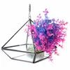 Vaso da fiori per piante grasse in vetro terrario fai-da-te micro paesaggio serra triangolare
