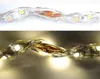 110V 220V LED -remsa 5050 50M 100M IP67 Vattentät RGB Dual Color Rope Lighting för utomhus med RF -fjärrkontroll av DHL200T