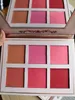 FIORAI BIOOM REMARQUABLE CONTOUR HANK HENRY 6 palette de couleurs blush palette blush blush contour maquillage naturel de haute qualité gratuit Shipp