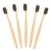 Confezione da 4 spazzolini da denti naturali riutilizzabili in bambù con custodia da viaggio economica con confezione in scatola biodegradabile 100