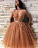 2024 Short Mini Champagne Gold Homecoming Dresses Deep V Neck Sleeveless A Line Tulle Ruffles Open Back Plus Size Party Tail Gowns 403