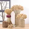 20 hastes secas flor coelho cauda natural plantas florais coelho grama buquê decoração de casa acessórios