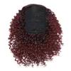 Afro Kinky Curly Puff cordão de-cavalo Wine Ombre Red alta Puffs com cordão Bun 2 clipes em Hairpieces Donut Chignon de cabelo curto encaracolado