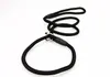 Pet Dog Nylon Rope Training Leash Slip Lead Strap Justerbar Traction Collar Pet Animals Rep Supplies Tillbehör 06130CM6516266