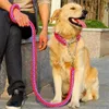 Corda per animali domestici a doppio filo Grande 14 colori Guinzagli per cani Fibbia a catena P in metallo Colore nazionale Collare per corda per trazione per animali domestici Set per cani di grossa taglia